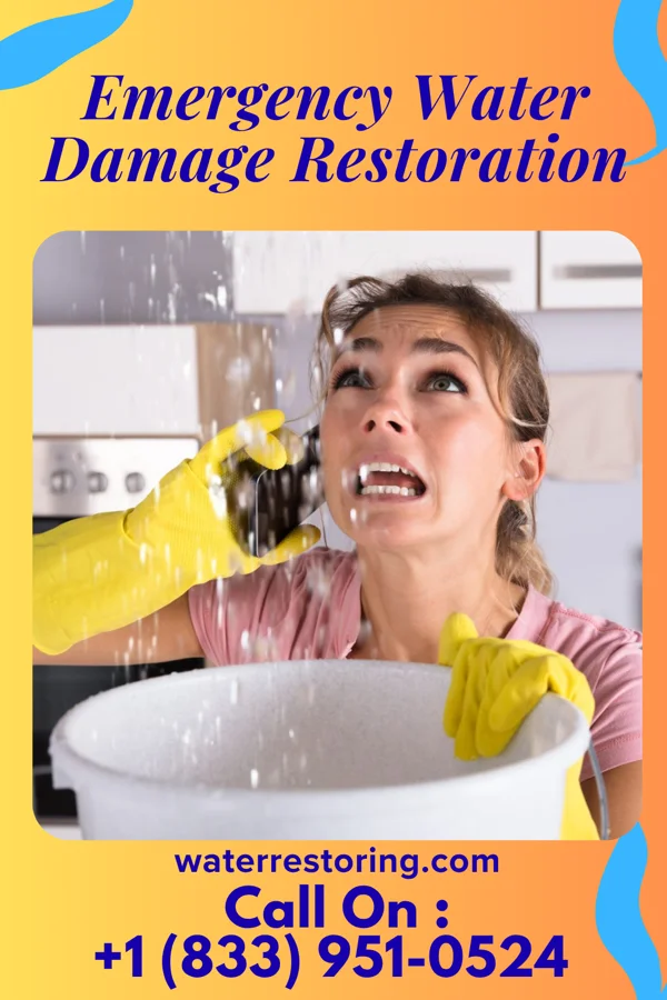 Emergency Water Damage Restoration in Baxter Village, SC